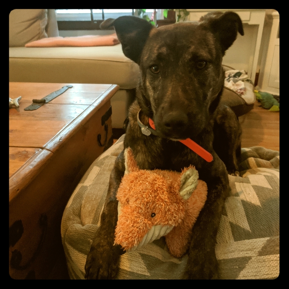 Meet your Posher, Becca